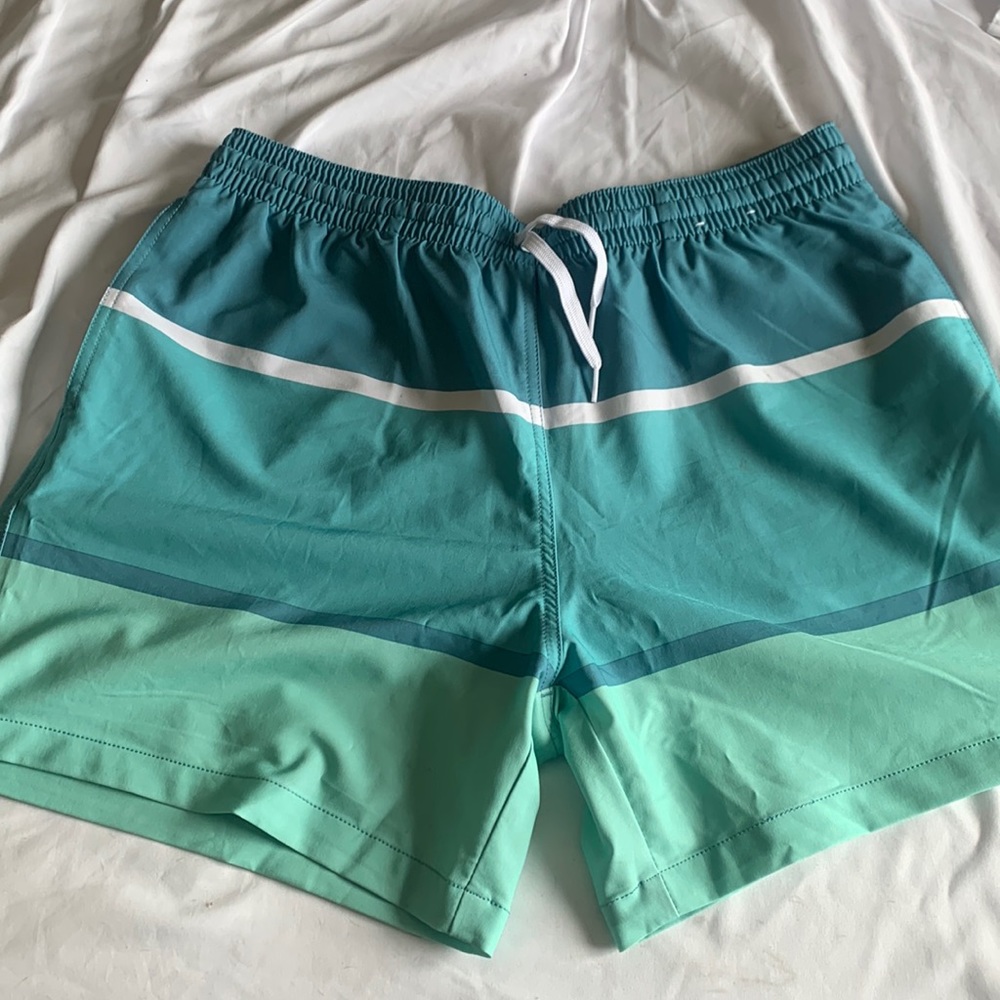 Chubbies swim trunks